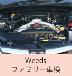 Weedsファミリー車検